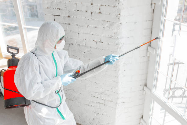 Mold Remediation for Vacation Homes in Sorgho, KY